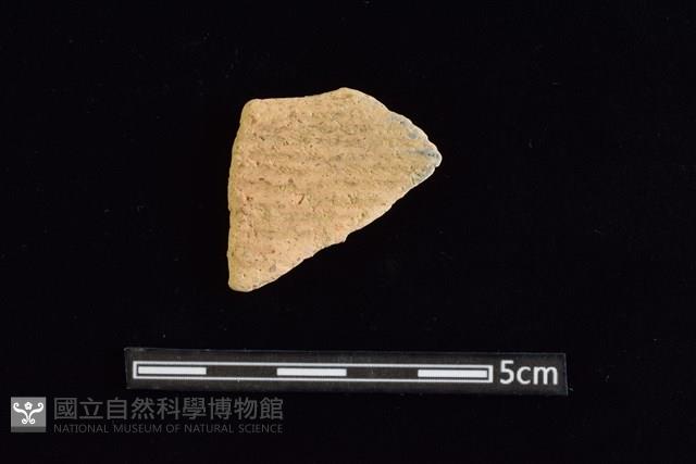 陶片藏品圖，第1張