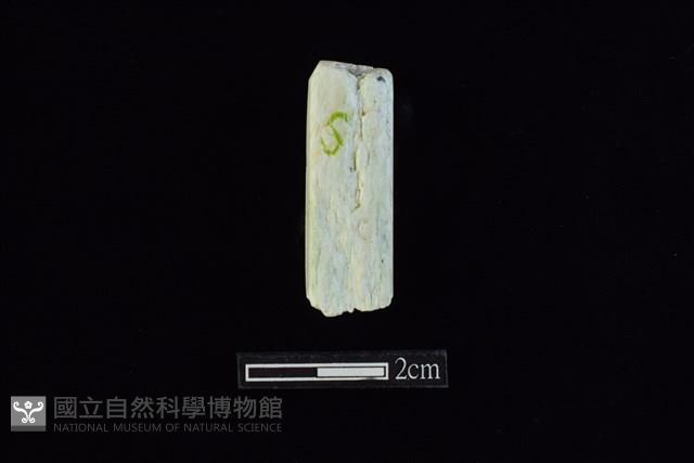錛鑿形器藏品圖，第2張