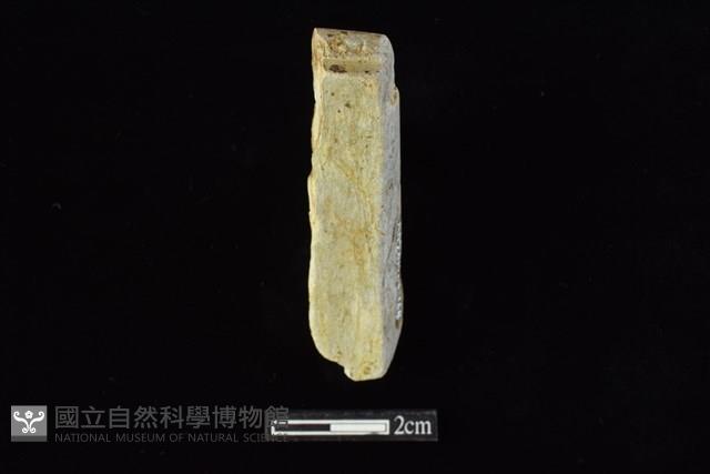 錛鑿形器藏品圖，第2張