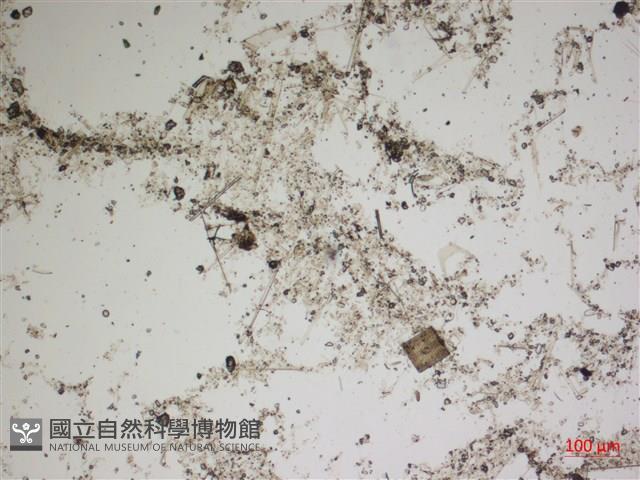 登錄號:A00004564藏品圖，第2張