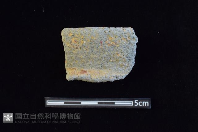 陶罐藏品圖，第1張