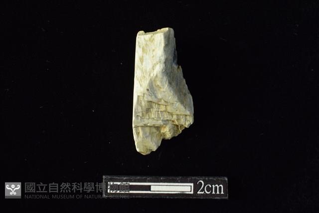 錛鑿形器藏品圖，第1張