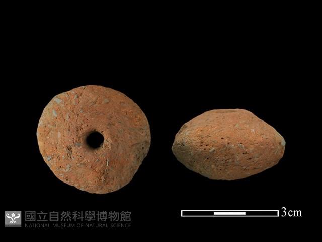 紡輪藏品圖，第1張