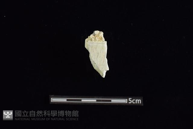 玉料藏品圖，第1張