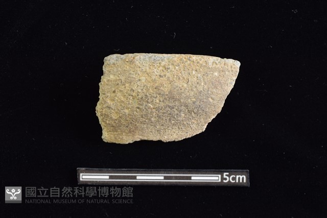 陶罐藏品圖，第1張