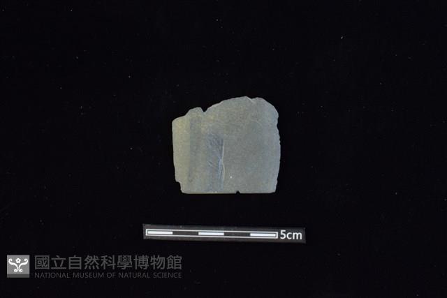 矛鏃形器藏品圖，第1張