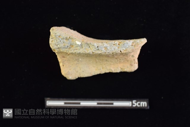 陶缽藏品圖，第1張