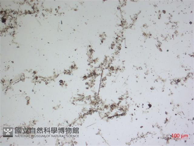 登錄號:A00004604藏品圖，第2張