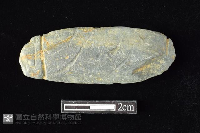 網墜藏品圖，第1張