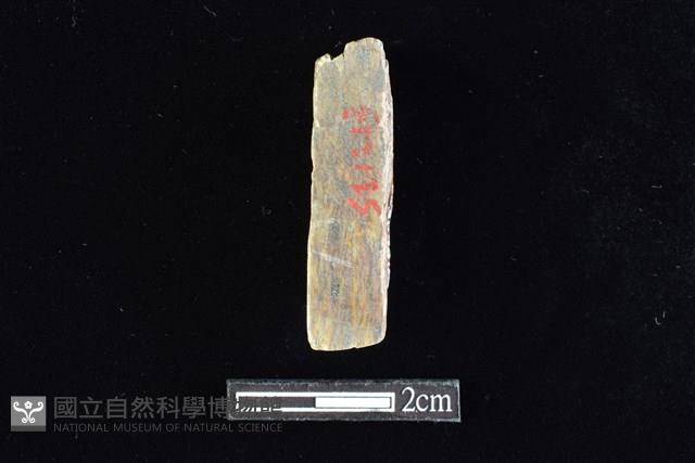 錛鑿形器藏品圖，第2張