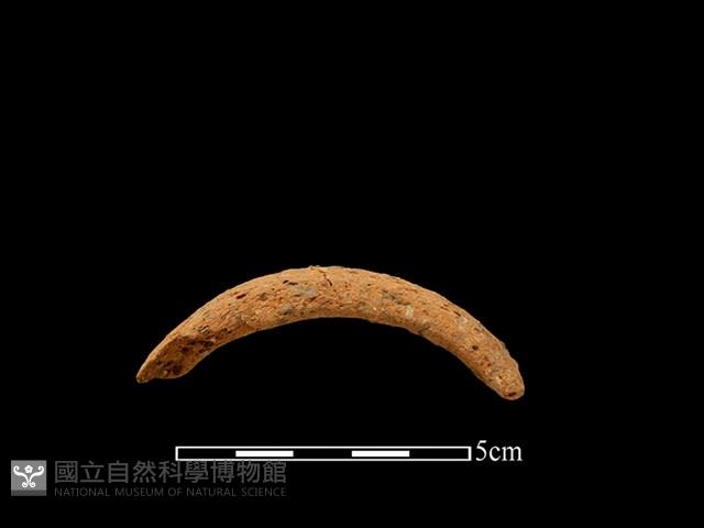 陶把藏品圖，第1張