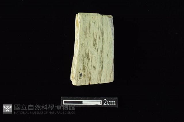 錛鑿形器藏品圖，第2張