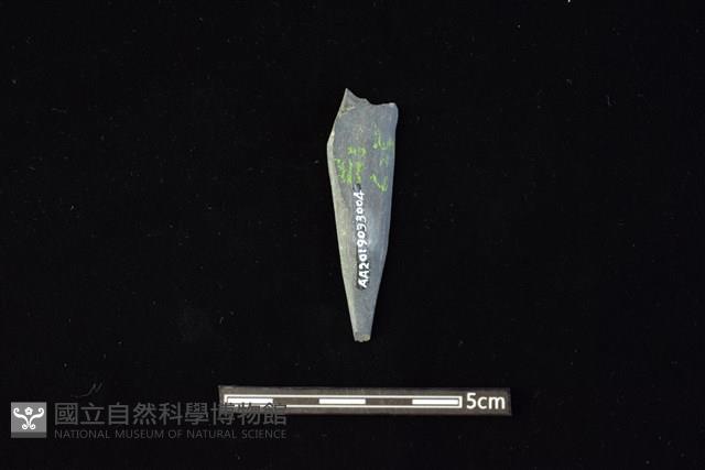 尖狀器藏品圖，第2張