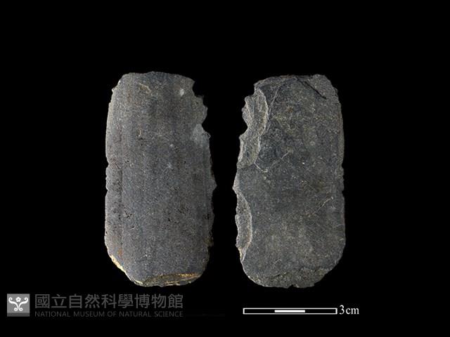 矛鏃形器藏品圖，第1張