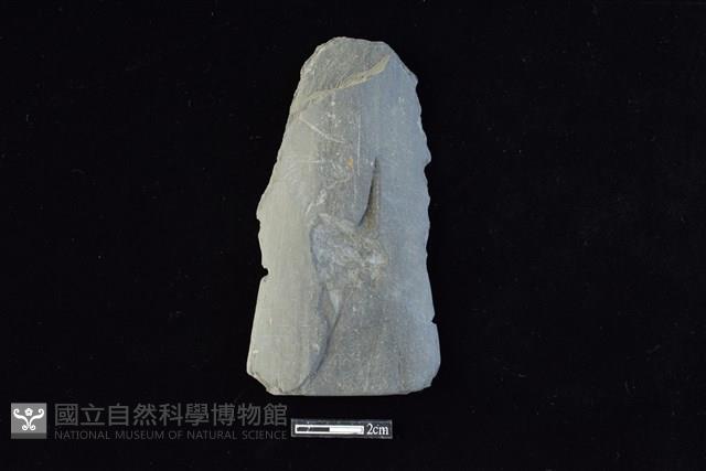 戈形器藏品圖，第1張