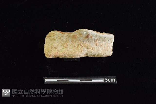 陶罐藏品圖，第1張