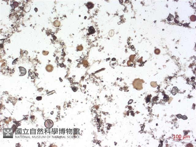 登錄號:A00004504藏品圖，第2張