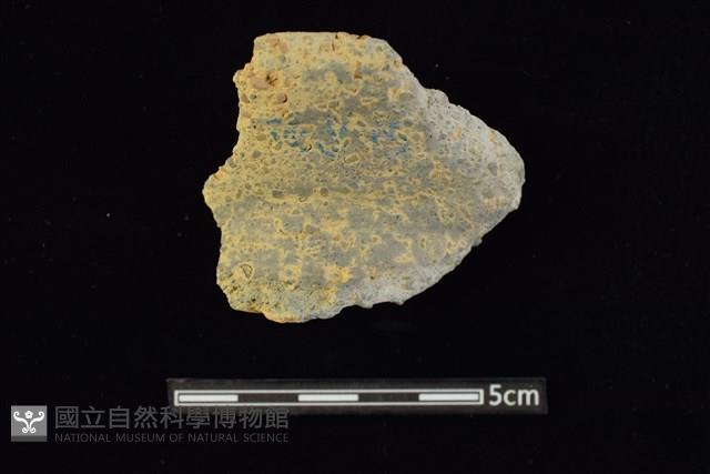 陶罐藏品圖，第1張