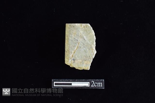 錛鑿形器藏品圖，第1張