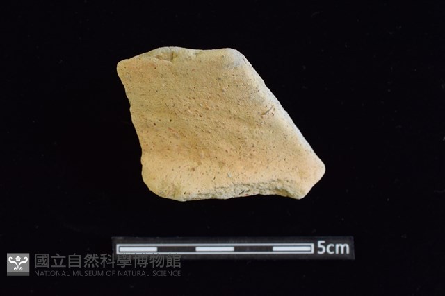 陶罐藏品圖，第1張