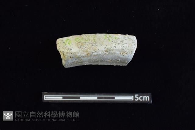 陶缽藏品圖，第1張