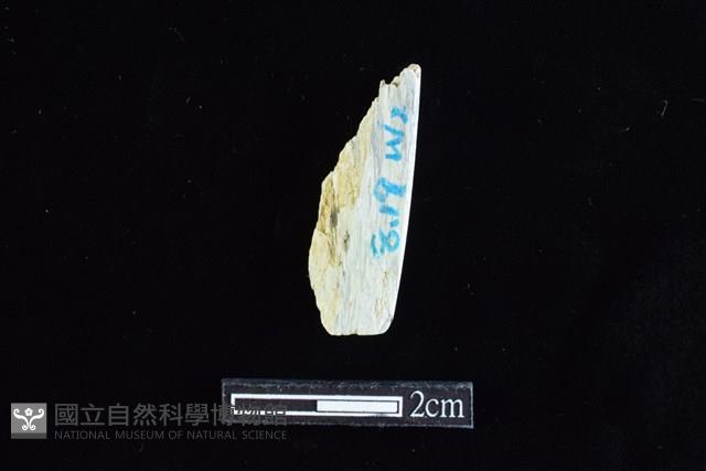 錛鑿形器藏品圖，第2張
