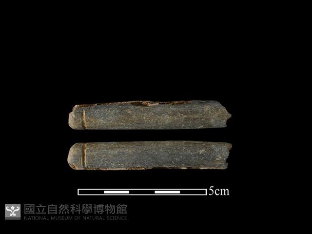 網墜藏品圖，第1張