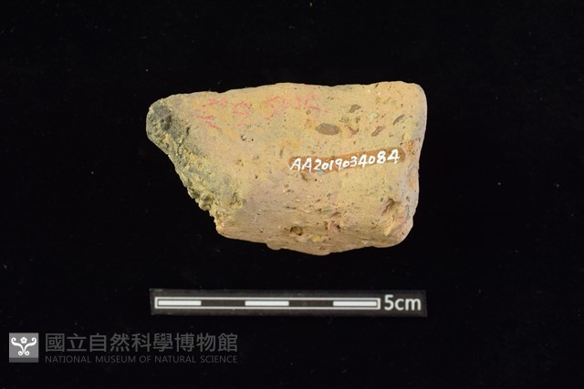 陶罐藏品圖，第2張