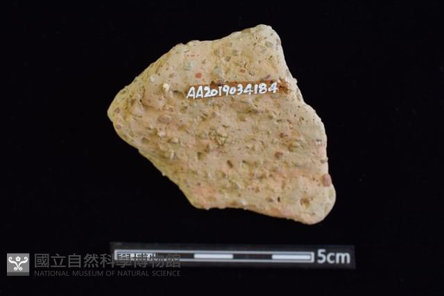 陶片藏品圖，第2張