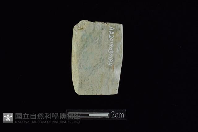 錛鑿形器藏品圖，第2張