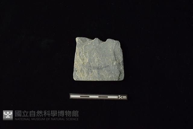 戈形器藏品圖，第1張