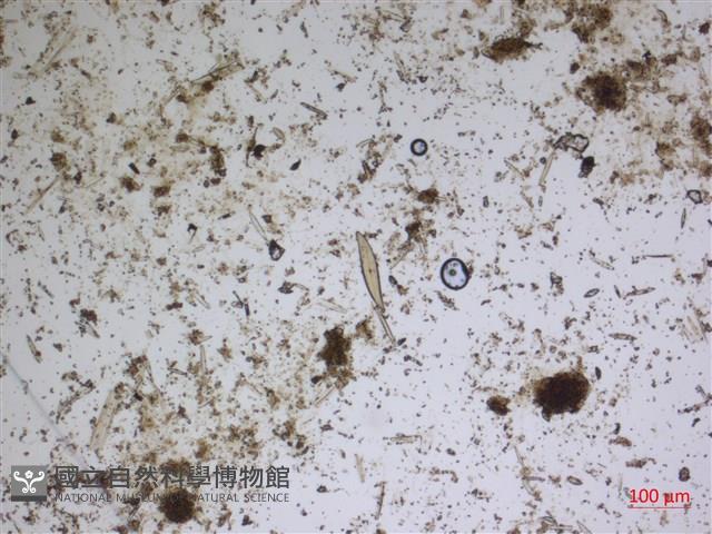 登錄號:A00004584藏品圖，第2張