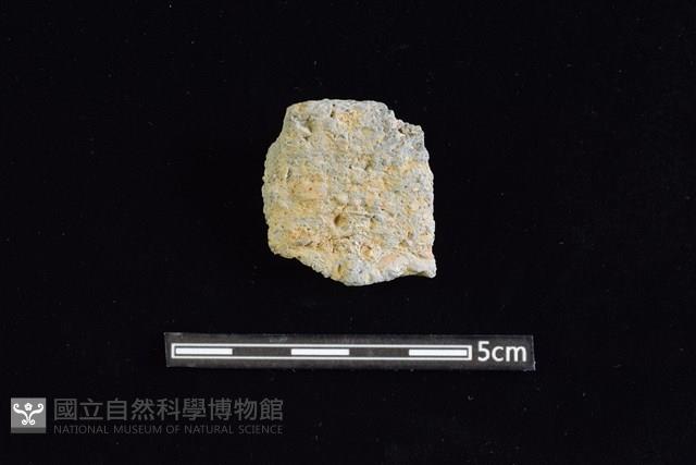 陶罐藏品圖，第1張