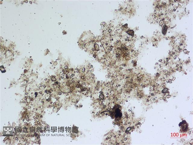 登錄號:A00004484藏品圖，第2張