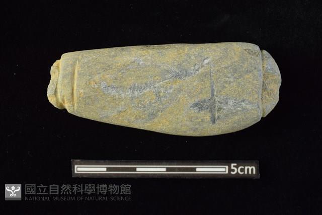 網墜藏品圖，第1張