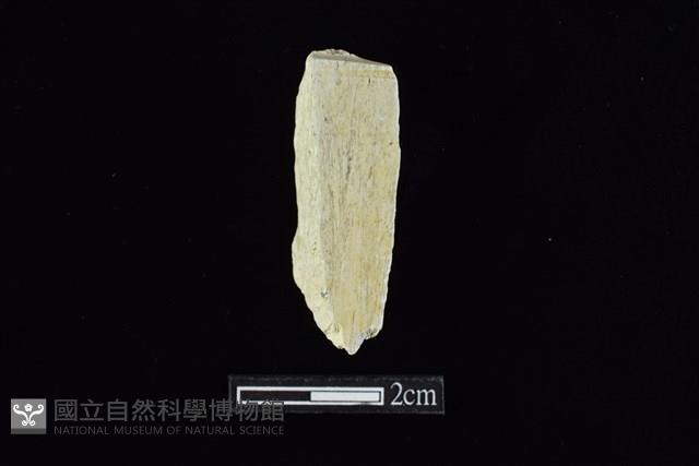 錛鑿形器藏品圖，第2張