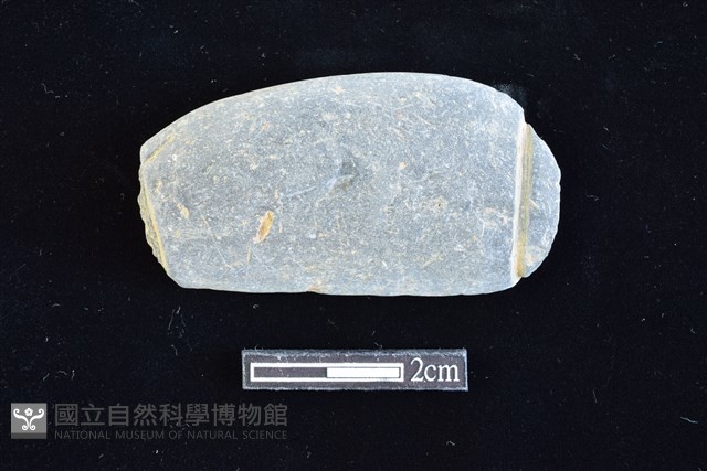 網墜藏品圖，第1張