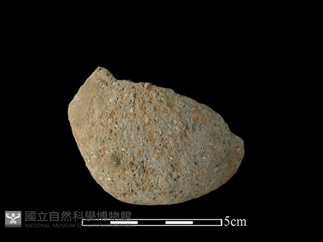 陶片藏品圖，第1張