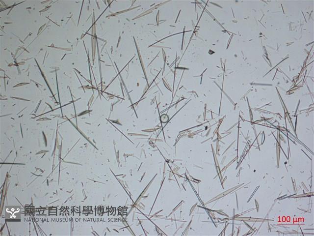 登錄號:A00004637藏品圖，第2張