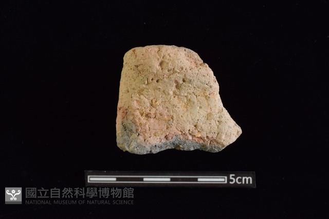 陶罐藏品圖，第1張