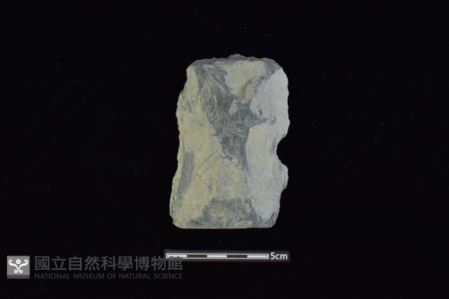戈形器藏品圖，第1張