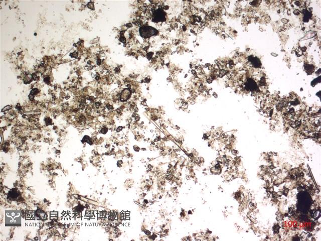 登錄號:A00004537藏品圖，第2張