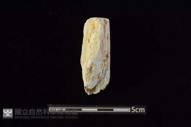 錛鑿形器藏品圖，第1張