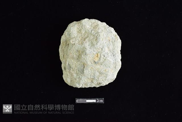 斧鋤形器藏品圖，第1張