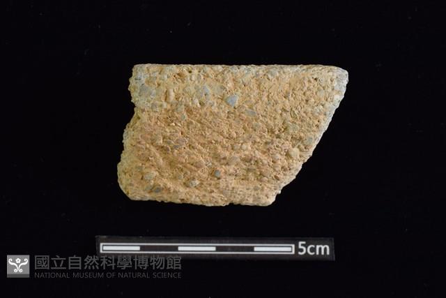 陶片藏品圖，第1張