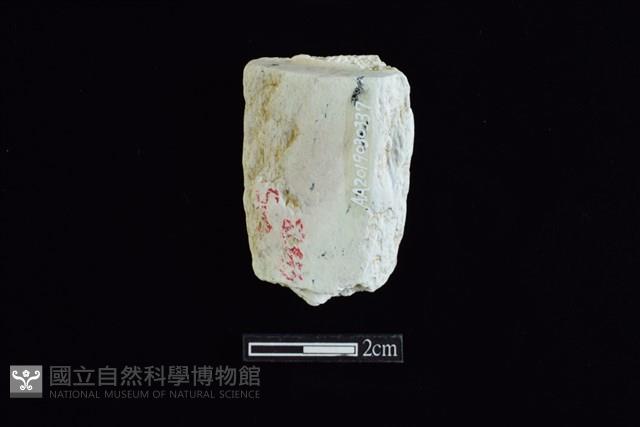 錛鑿形器藏品圖，第1張