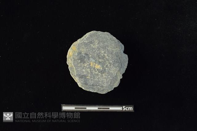 石圓片藏品圖，第1張