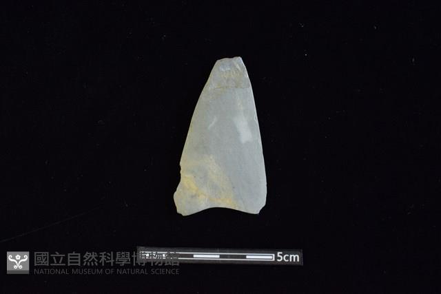 矛鏃形器藏品圖，第1張