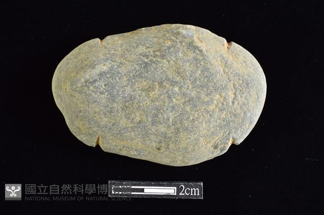 網墜藏品圖，第1張