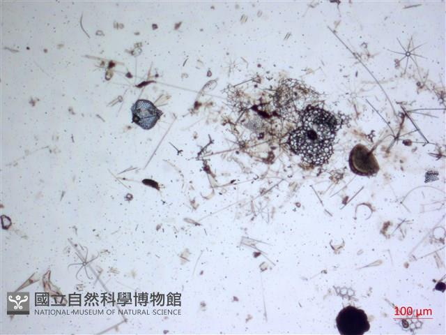 登錄號:A00004657藏品圖，第2張